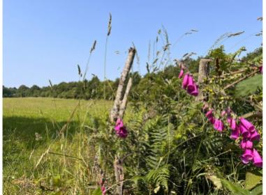 Programme immobilier neuf maison Vigneux-de-Bretagne