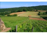 Appart Saint-Romain-au-Mont-d'Or