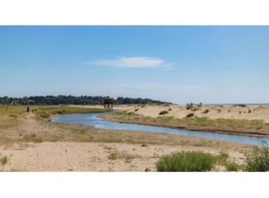 Programme immobilier neuf appart Saint-Brevin-les-Pins