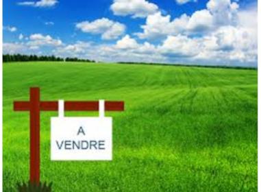 Programme immobilier neuf appart Petit-Bourg