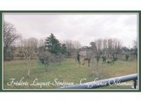 Maison Saint-Jean-de-Braye