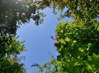 Appart Saint-Genis-Laval