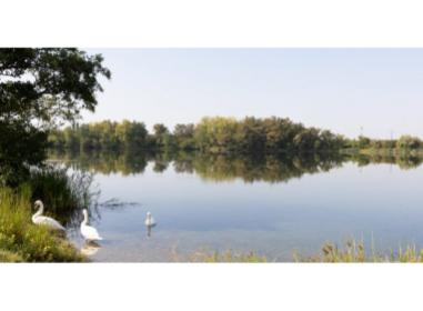 Hameau Lamartine programme neuf Ambarès-et-Lagrave