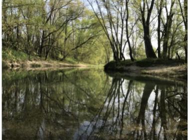 Le Cèdre Bleu programme neuf Grigny