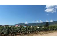 Programme immobilier neuf appart Wintzenheim