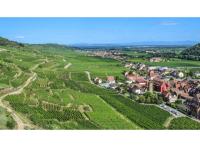 Programme immobilier neuf appart Wintzenheim