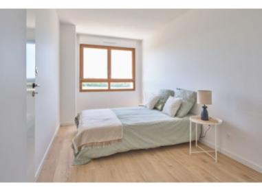 Millesime - Immobilier neuf Metz