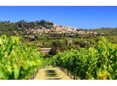 Le Cabellio Immobilier neuf Cavaillon
