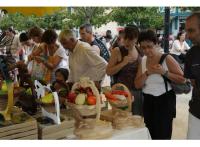 Programme immobilier neuf appart Aureilhan