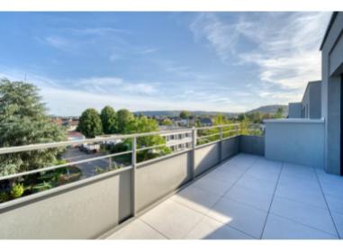 Le Sentier des Platanes programme neuf Florange