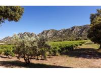 Programme immobilier neuf maison Saint-Rémy-de-Provence