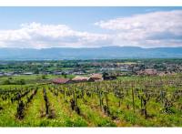 Programme immobilier neuf mixte Loisin