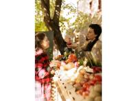 Programme immobilier neuf appart Rognes