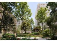 Programme immobilier neuf appart Lyon 2ème