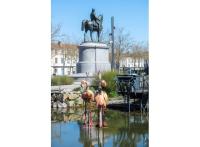 Appart La Roche-sur-Yon