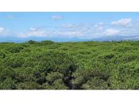 Programme immobilier neuf appart Le Barcares