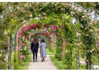 Programme immobilier neuf appart L'Hay-les-Roses