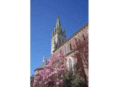 Programme immobilier neuf appart Bédée